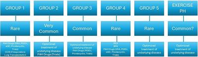 Chronic thromboembolic pulmonary hypertension: the diagnostic assessment